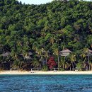 니도(Nido) 이미지