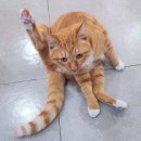 마린파크 동물병원 이미지