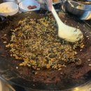 [신사역술집] 쭈꾸미와 닭발 맛집 인정 소주 원샷 &lt;쭈윤발&gt; 내돈내산 후기