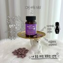 다이어트버닝 파라다이스그레인다이어트 효과 있을까? 에코홀릭 C3G 솔직 후기