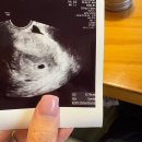 도로시여성의원 이미지