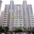 세화로168번길 Daum카페