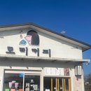 알천남로 | 경주 모리커피 구황점 두쫀쿠 후기 ☕ 두툼하고 쫀뜩한 두쫀쿠