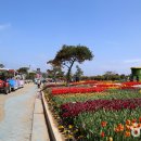 태안슈퍼 이미지