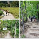 구봉산농장 이미지