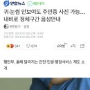 귀·눈썹 안보여도 주민증 사진 가능…내비로 정체구간 음성안내 이미지