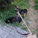 김포보듬동물의료센터 이미지