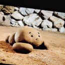 세연온마음의원 이미지