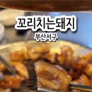 원조꼬리치는돼지 이미지