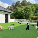 헬로우버디 판교밸리점 이미지