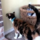 안의가스 이미지