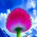 5월4일 전국노래자랑 어제 녹화분,고려거란전쟁 3 이미지