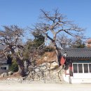 가곡1리경로당 이미지