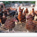 벽송산장 이미지