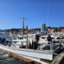 울진대게 이미지