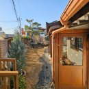 안의청과 | 세종 장군면 카페 '꽃비가', 추운 겨울 마음까지 녹여주는 한옥풍 디저트 카페(수제 그릭요거트)