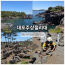 대포수협바다식당 | 제주 주상절리 아이들과 다녀온 대포주상절리 관람 후기