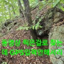 오전볼일 백두대간 버섯산행.124 (원본 약초 매니아 카페) 이미지