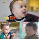 이동국농장 이미지