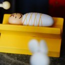 자연주의연 네이버블로그