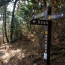 공지산 둘레길 이미지