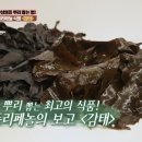 비채플러스 이미지