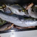 송악 낚시터 이미지