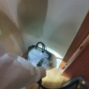 그린라인 이미지