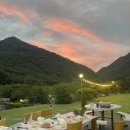 쌍곡반점 이미지