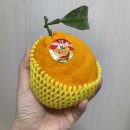 좋은인연농수산 이미지