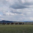 신성세계 이미지