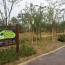 포곡 도시숲 이미지