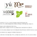 도그비잉코리아