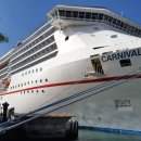 맥스스파헬스 이미지