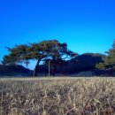 고례마을 이미지