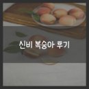 신비복숭아 후기 총정리! 일반 복숭아와 차이점은?