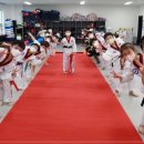 라이온 태권도장 이미지