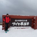 오타루 Daum카페