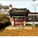 수의동강촌 티스토리