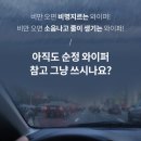 1791 | 순정 와이퍼 vs 럭스블레이드 PRO 뭐가 다를까? 실리콘 발수코팅 고성능 와이퍼 1,791개 후기 분석