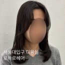 서울대입구 미용실 로하로헤어 노아디자이너 아윤채클리닉 레이어드컷 후기
