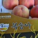 외성농장 네이버블로그