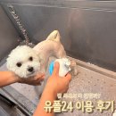 유폴 24시 애견셀프목욕 소래점 | 인천논현 강아지목욕, 유폴24 애견셀프목욕 무인매장 이용