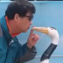 물새 이미지
