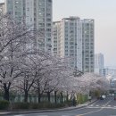 지코바치킨돈암 네이버블로그