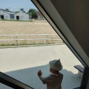 해운농장 이미지