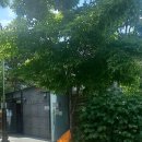 쌍청공원 화장실 이미지