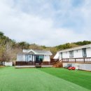 플레이하운드 이미지