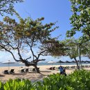 크로스핏 팔팔 | 발리여행기 4