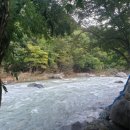 배내시티SA | 경남 배내골 부근 , 수영장있는 펜션 배내시티SA펜션 후기